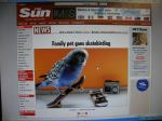 The SUN newspaper UK